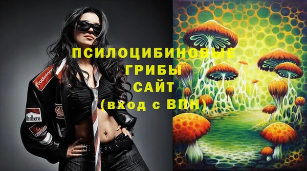 скорость Богданович