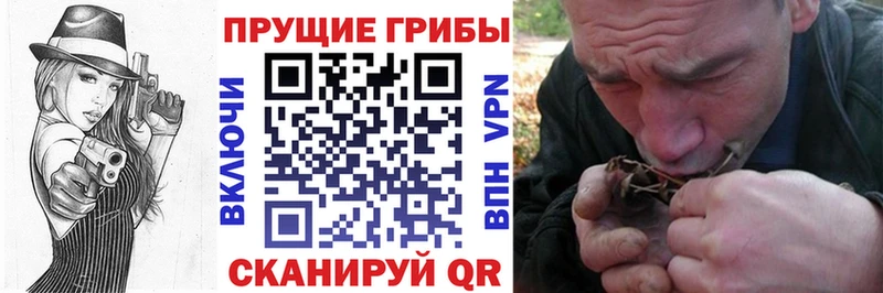 Галлюциногенные грибы прущие грибы  Северск 