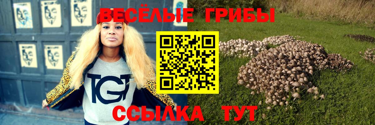 Северск  Галлюциногенные грибы GOLDEN TEACHER  Вход с VPN  Галлюциногенные грибы прущие грибы 