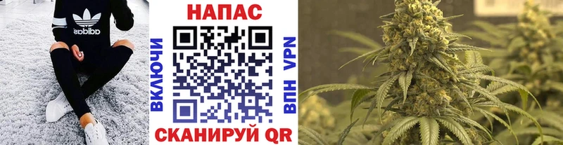 Конопля конопля  Северск 